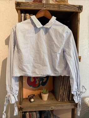 Zara Blue and White Striped Cropped Button-Up Blouse